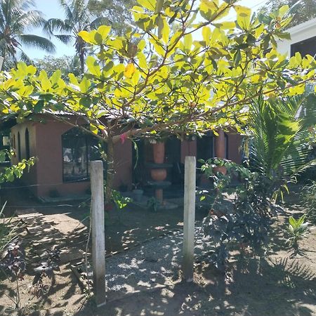 Micheck Beach House Tortuguero Bagian luar foto