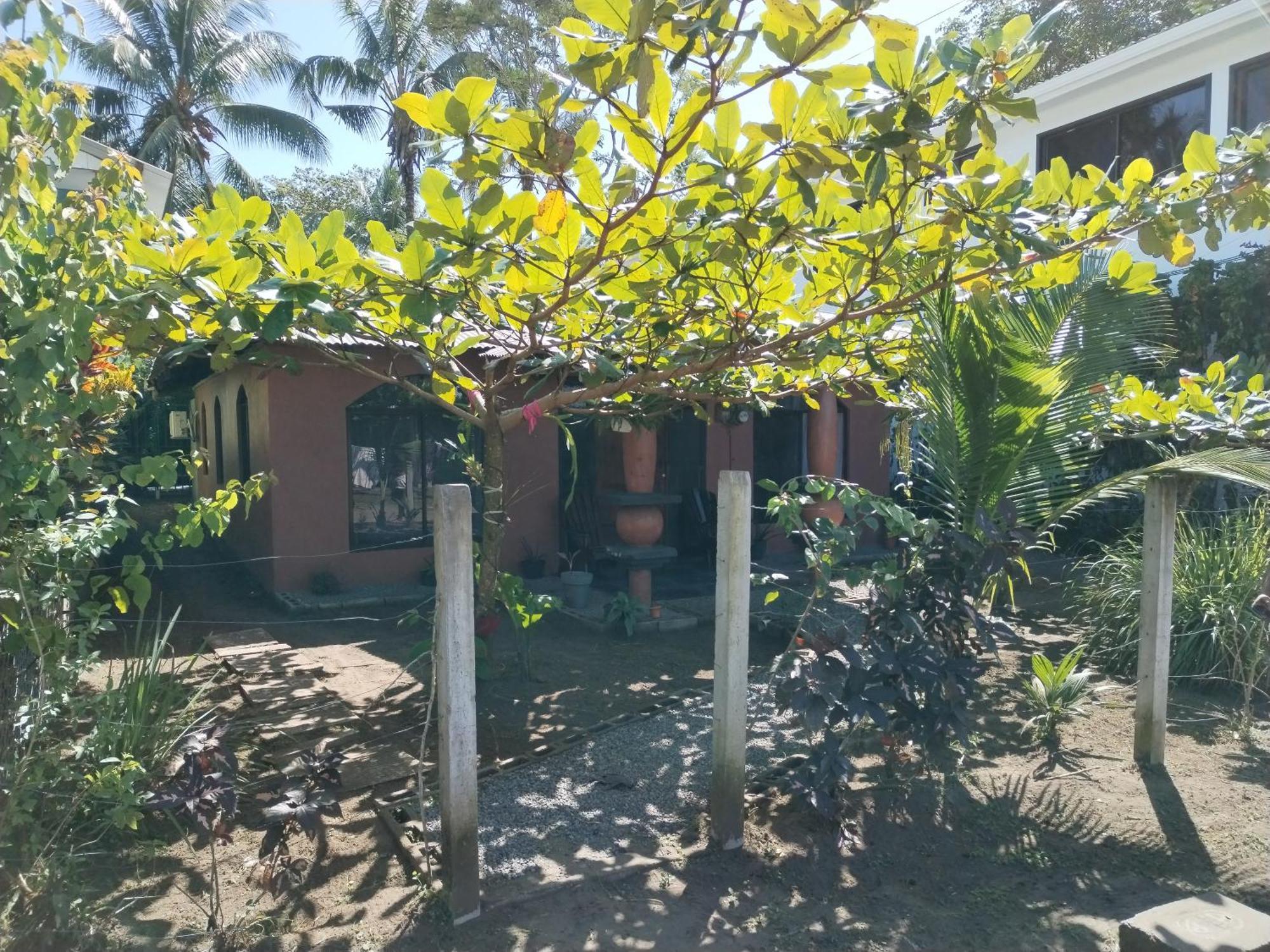 Micheck Beach House Tortuguero Bagian luar foto