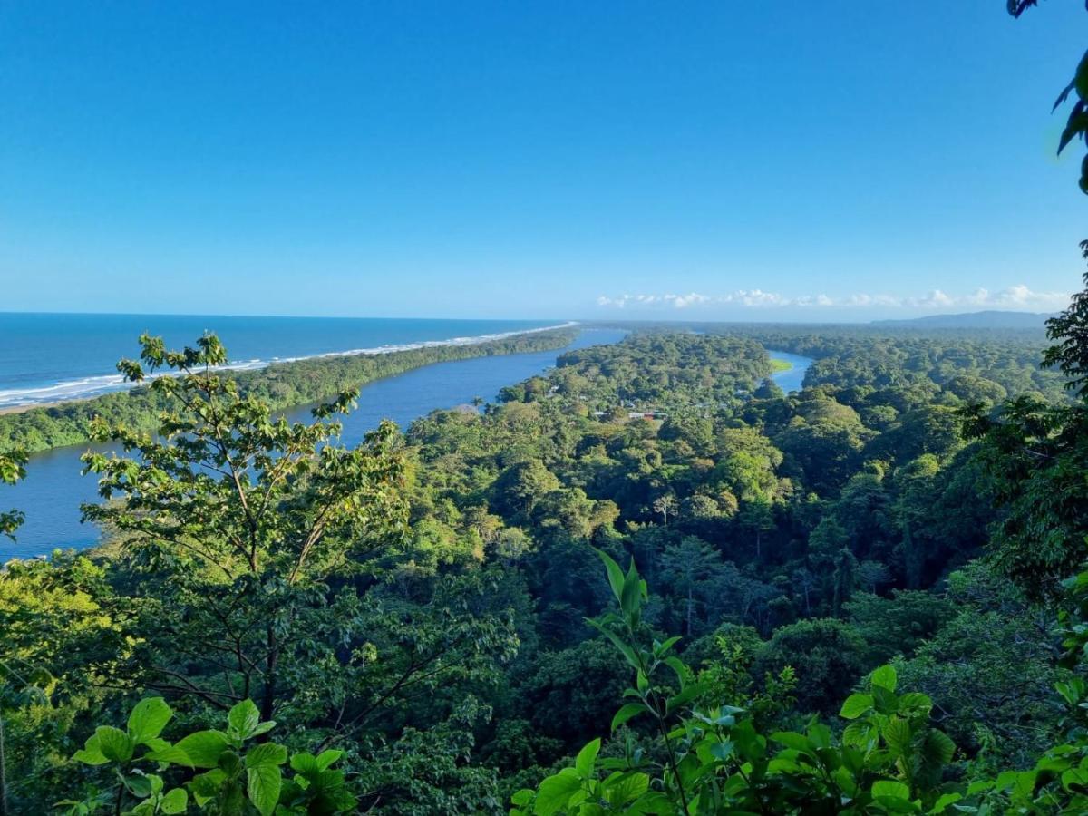Micheck Beach House Tortuguero Bagian luar foto