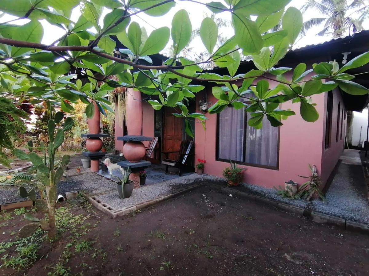 Micheck Beach House Tortuguero Bagian luar foto